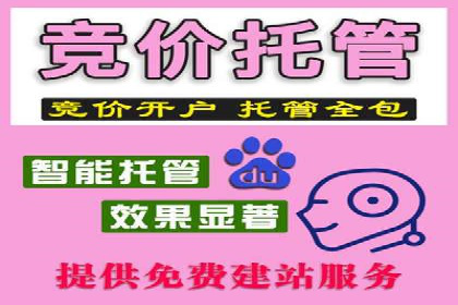 SEM代运营公司案例：行业应用解析