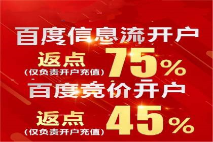 谷歌竞价广告在电商行业的运用案例